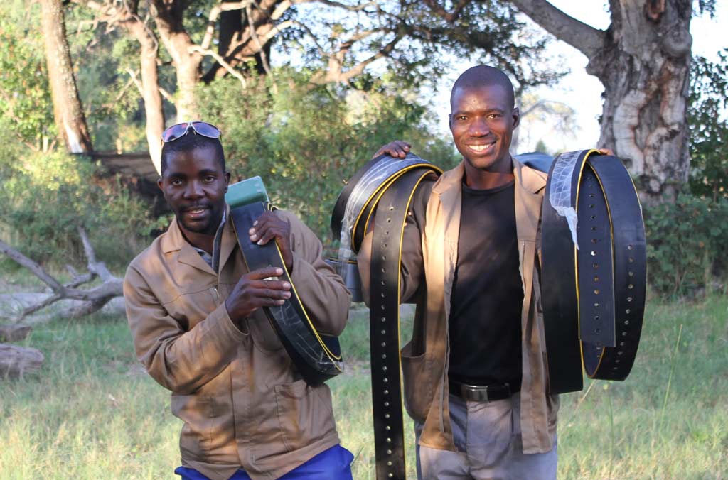 Tracking Elephants - Reporting Back - Ecoexist